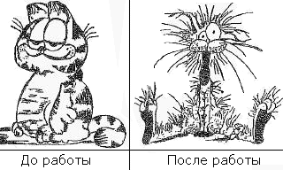 До работы / после работы До работы / после работы